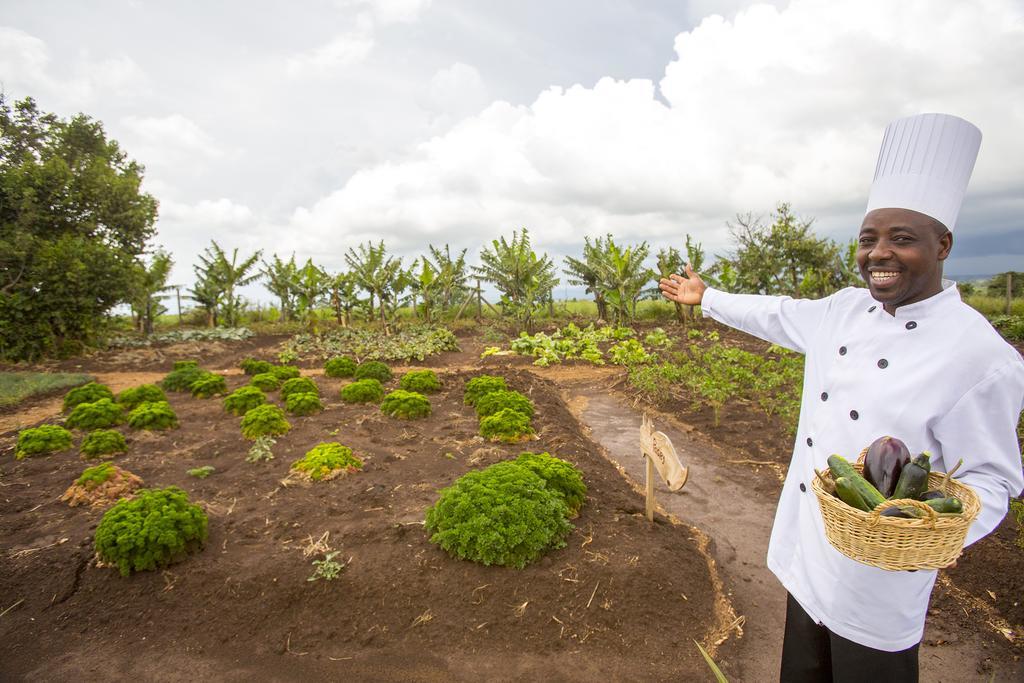 Mara Engai Lodge Lolgorien المظهر الخارجي الصورة
