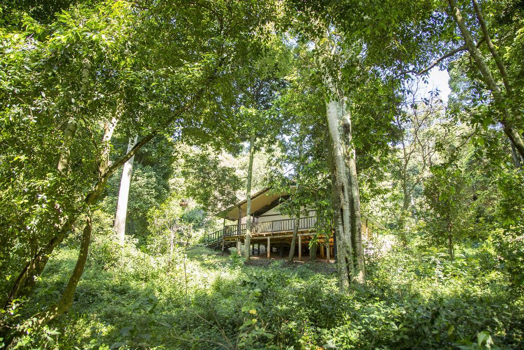 Mara Engai Lodge Lolgorien المظهر الخارجي الصورة